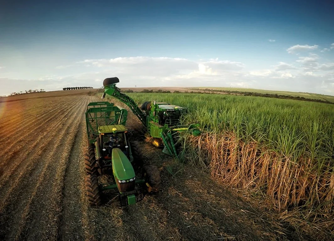 Plantio sustentável de cana-de-açúcar na entressafra